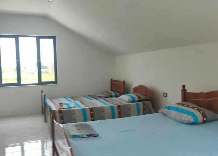 Timi Apartament *